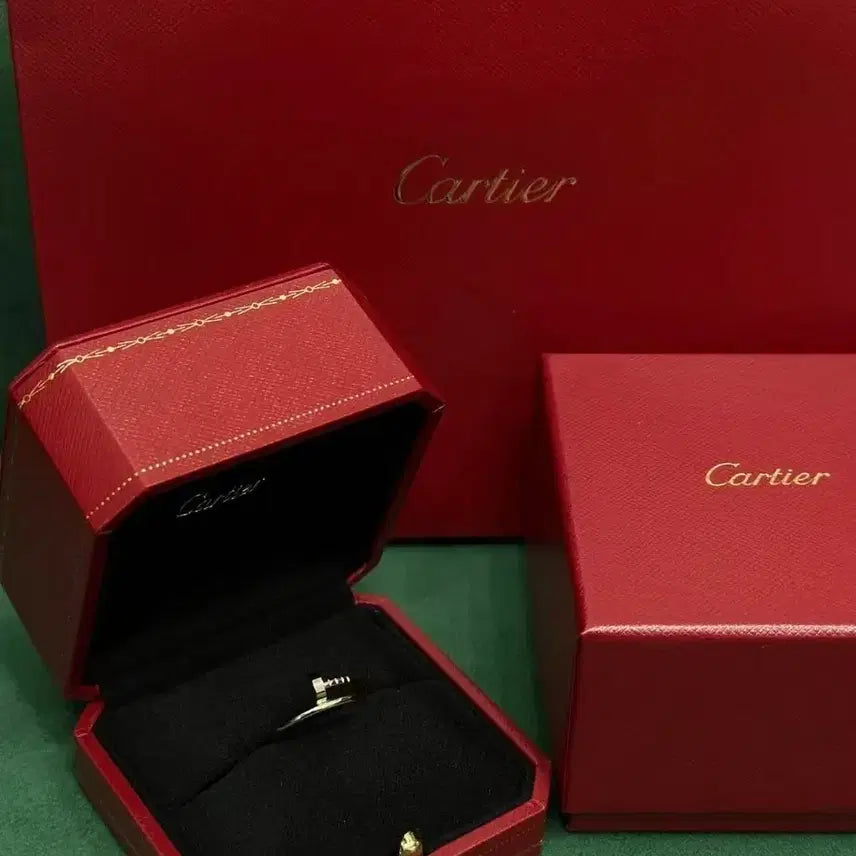 [BUNJANG] Cartier Juste un Clou Ankle Ring / 까르띠에 쥬스트 앵클 반지