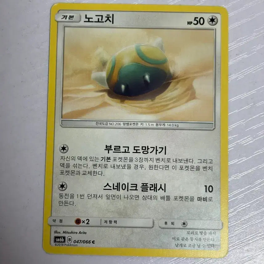 [BUNJANG] Pokemon Nogochii Card / [귀여운 포켓몬카드] 노고치