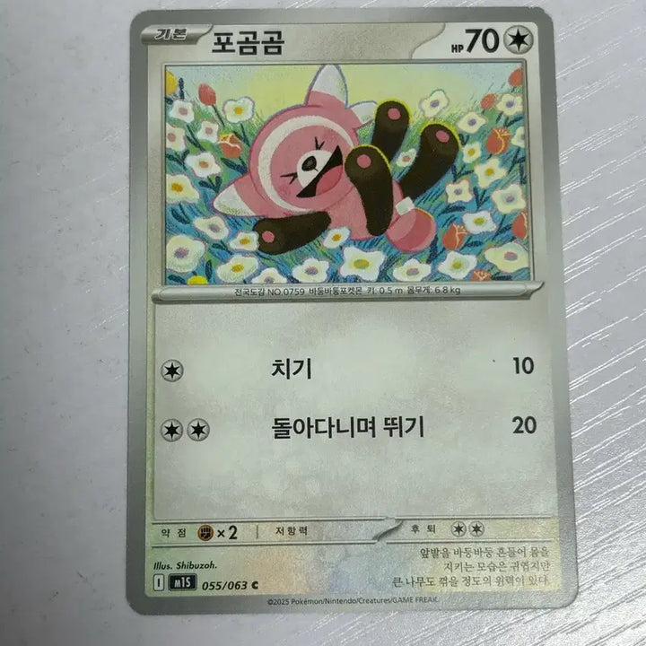 [BUNJANG] Pokemon Card Stufful / [귀여운 포켓몬카드] 포곰곰
