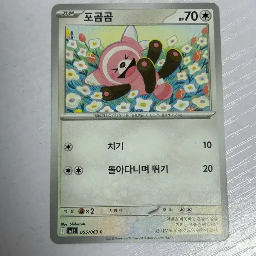 [BUNJANG] Pokemon Card Stufful / [귀여운 포켓몬카드] 포곰곰