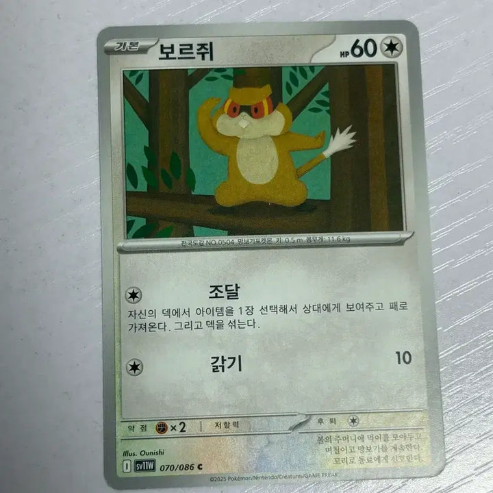 [BUNJANG] Baurji Pokemon Card / [귀여운 포켓몯카드] 보르쥐