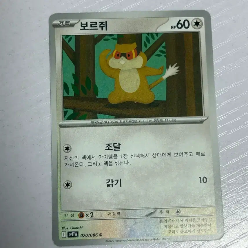 [BUNJANG] Baurji Pokemon Card / [귀여운 포켓몯카드] 보르쥐