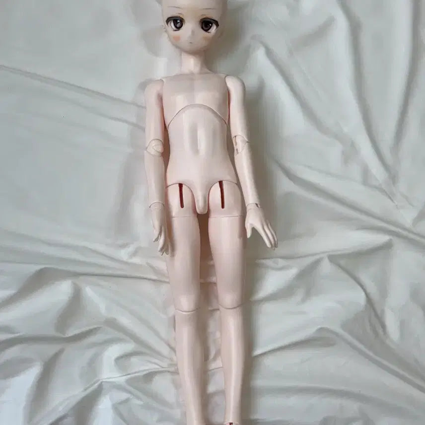 [BUNJANG] MDD DDH Semi-White BJD Doll Head / Mdd 구체관절인형 아니메 헤드