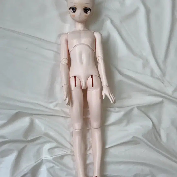 [BUNJANG] MDD DDH Semi-White BJD Doll Head / Mdd 구체관절인형 아니메 헤드