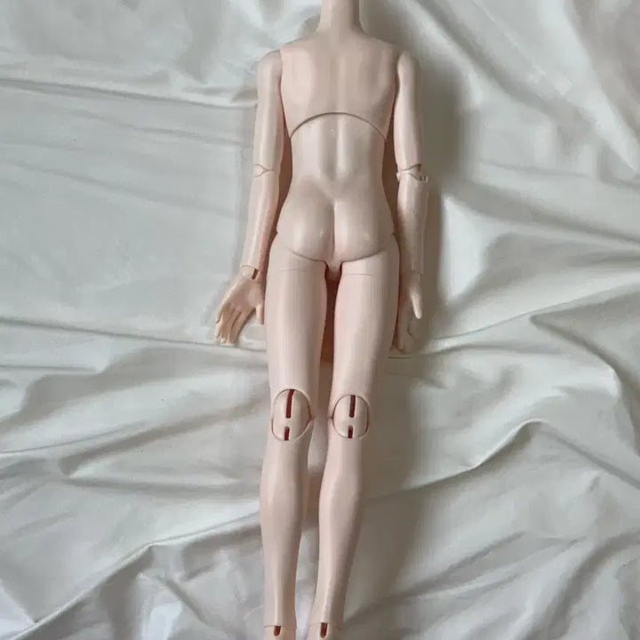 [BUNJANG] MDD DDH Semi-White BJD Doll Head / Mdd 구체관절인형 아니메 헤드