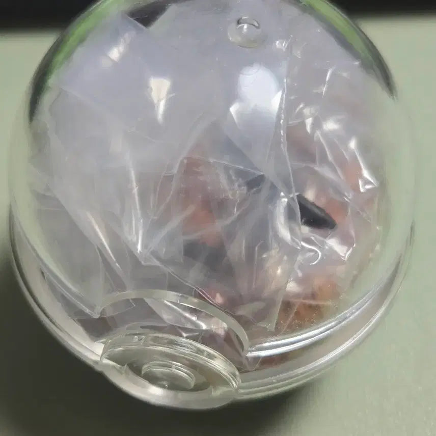 [BUNJANG] Pokemon Terrarium Figure Series 14 / 뚜꾸리 포켓몬스터 테라리움 리멘트 14 피규어