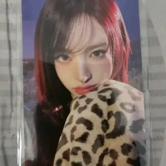 [SOLD OUT] 아이브 리즈 리바이브 블랙홀 뱅뱅 공방 포카