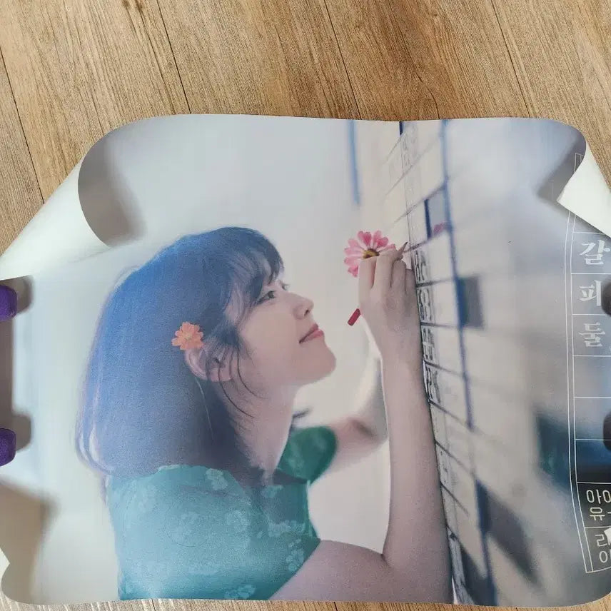 [SOLD OUT] 아이유 꽃갈피 둘 포스터 두종류 일괄
