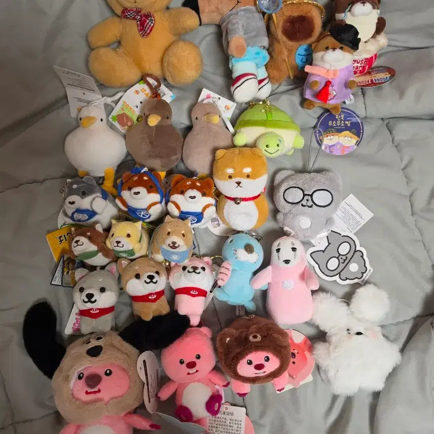 [BUNJANG] K-Pop Keychain Bundle Set / 전부 2000원)) 인형 키링 양도