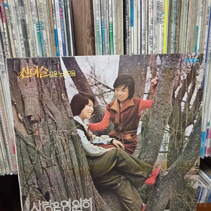 [BUNJANG] San E-seul First Press LP / [LP]산이슬 초반