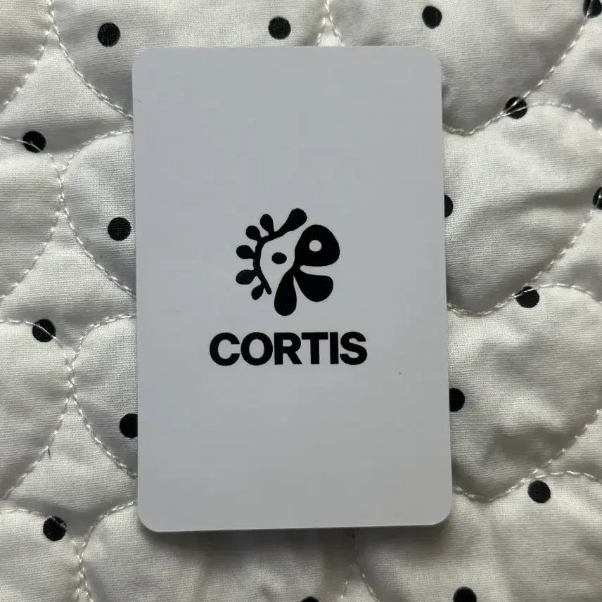 [SOLD OUT] cortis 코르티스  김주훈 일본 럭키 카드 포카