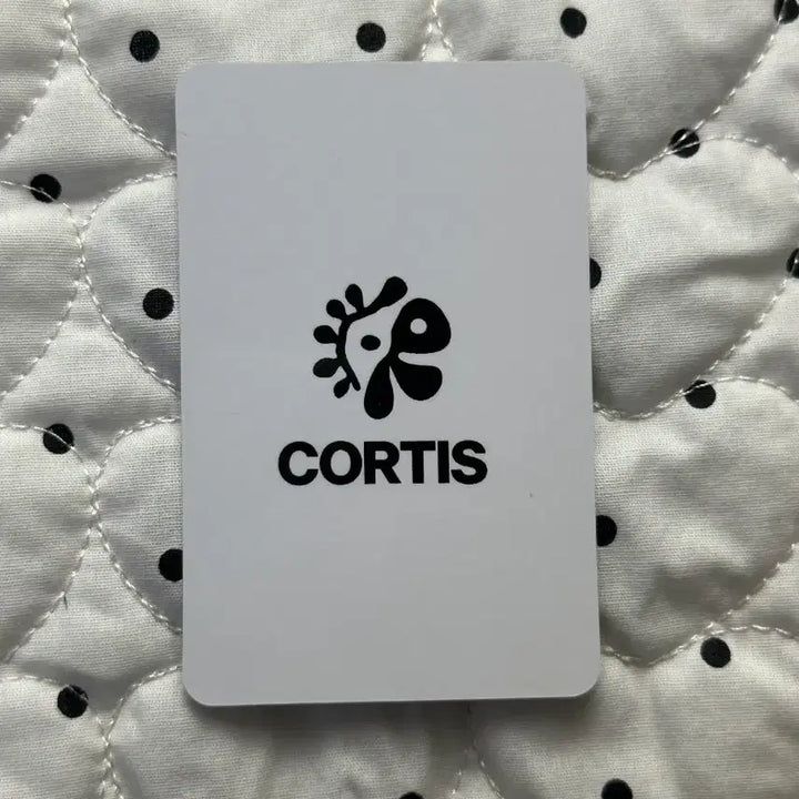 [SOLD OUT] cortis 코르티스  김주훈 일본 럭키 카드 포카