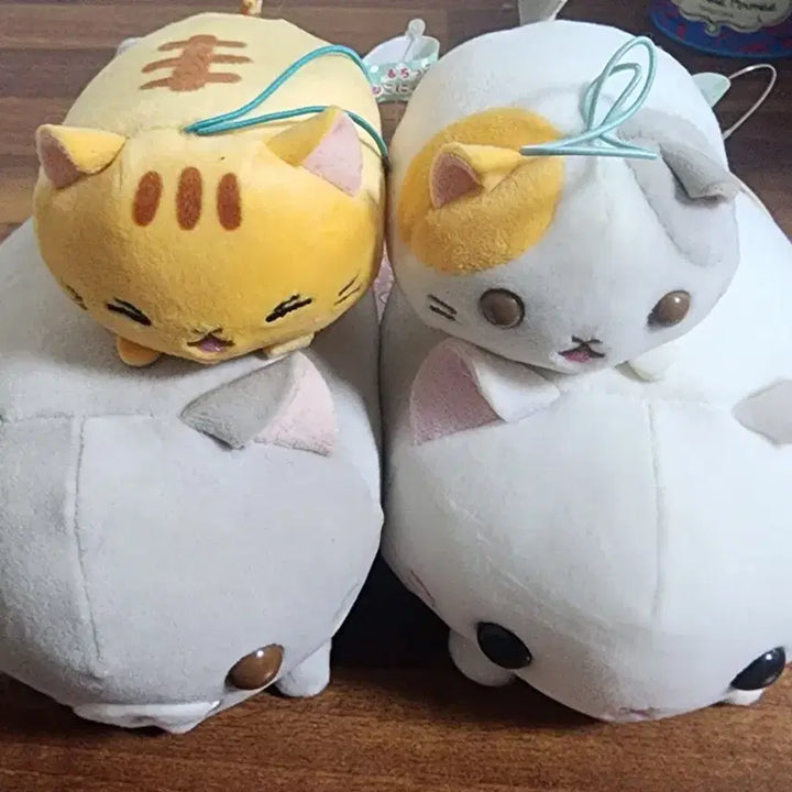[BUNJANG] Amuse Mochi Neko Doll Set / 어뮤즈 모치네코 인형 세트