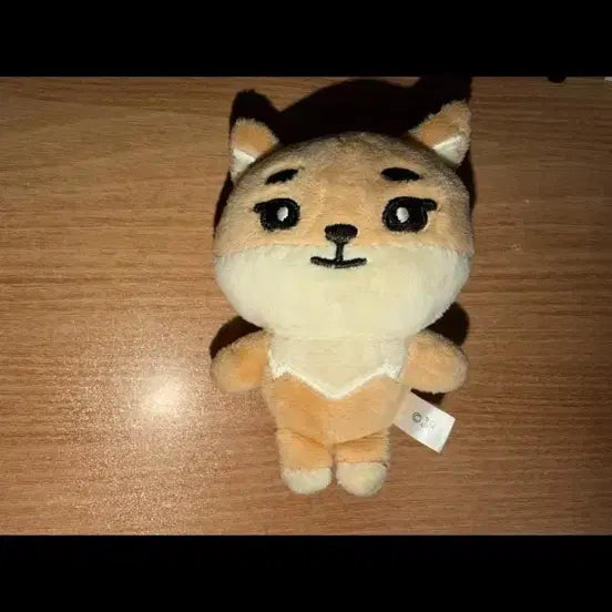 [SOLD OUT] 데이식스 일본 엠디 백참 케 양도
