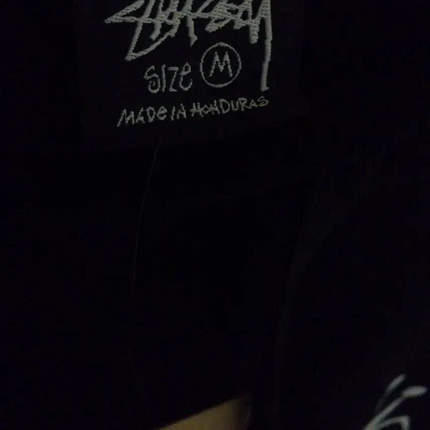 [BUNJANG] Stussy Kimo Hoodie / 스투시 키모 후드티