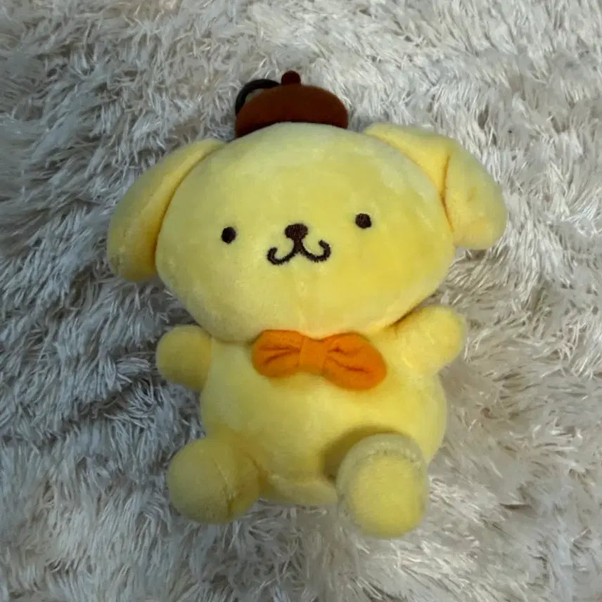 [BUNJANG] Sanrio PomPomPurin Plush Doll / 산리오 폼폼푸린 인형