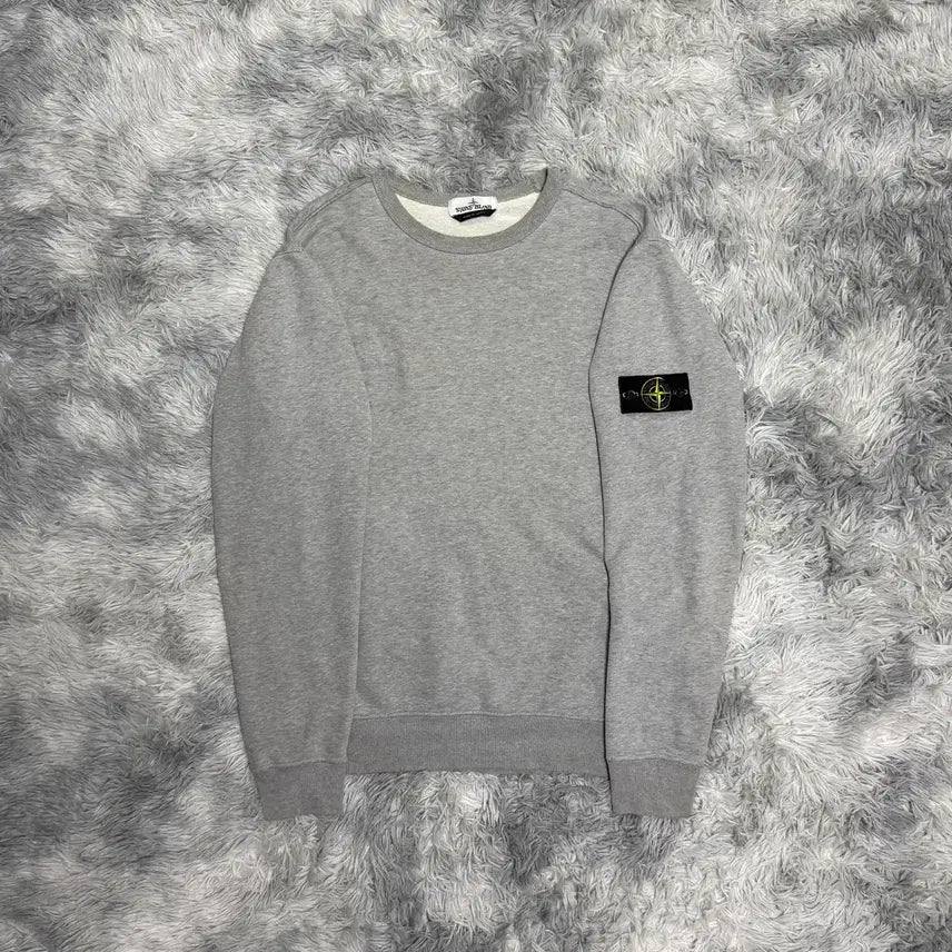 [BUNJANG] Stone Island Sweatshirt L Grey / [L size] 스톤아일랜드 맨투맨