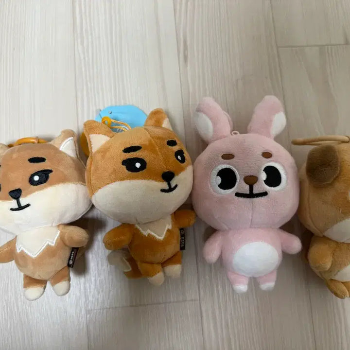 [SOLD OUT] 데이식스 데니멀즈 18케