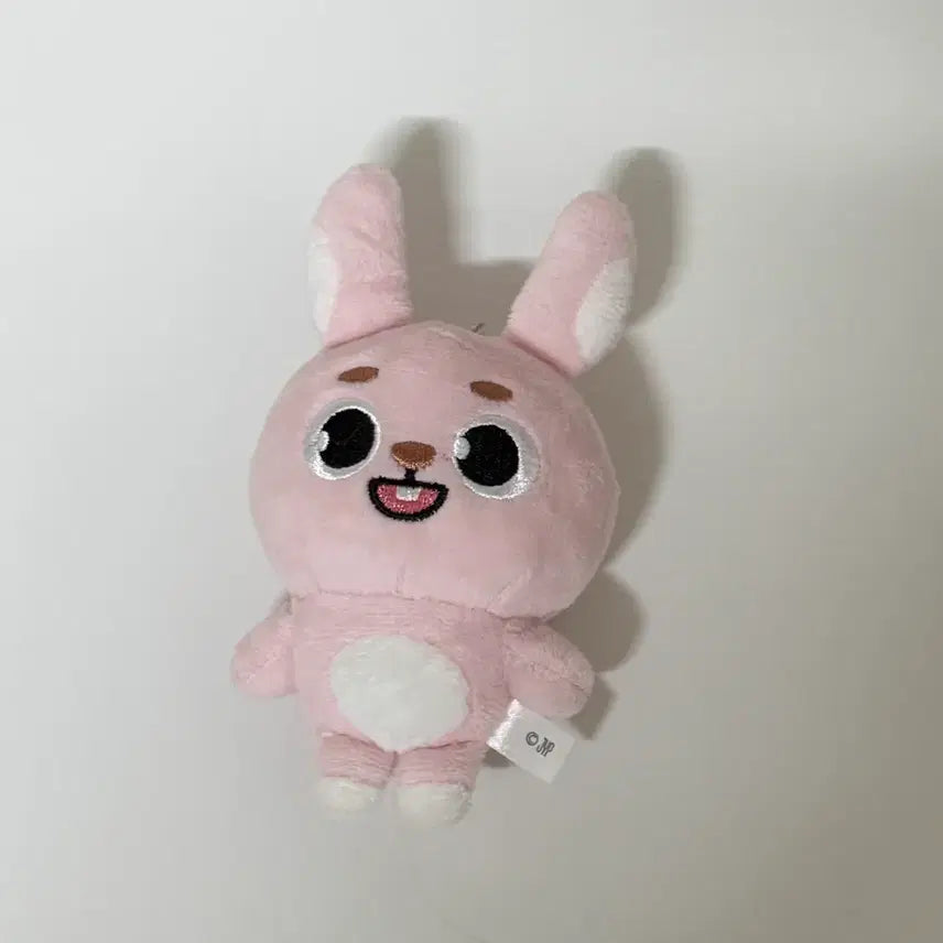 [SOLD OUT] 데이식스 일본MD 데니멀즈 필 백참