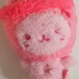 [BUNJANG] Red Bubble Cat / 레드 버블냥