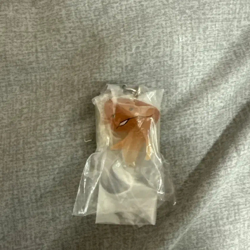 [SOLD OUT] 나메코 메지루시