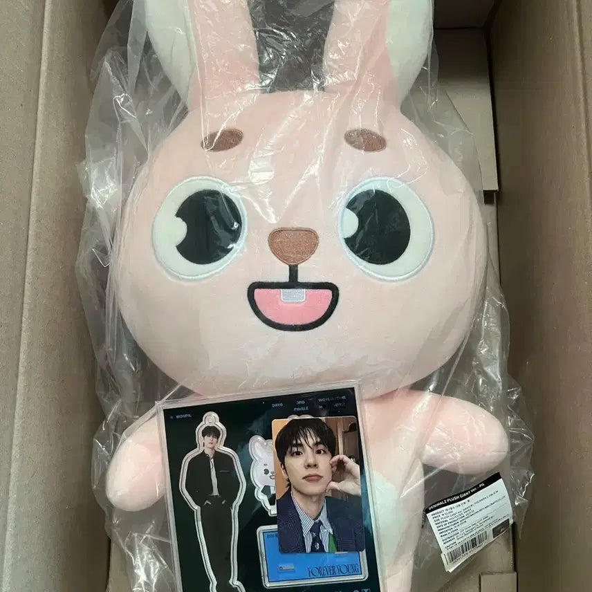 [BUNJANG] Day6 Wonpil Giant Denimals Fill Plush / 데이식스 자멀 필 자이언트데니멀즈(포카O)