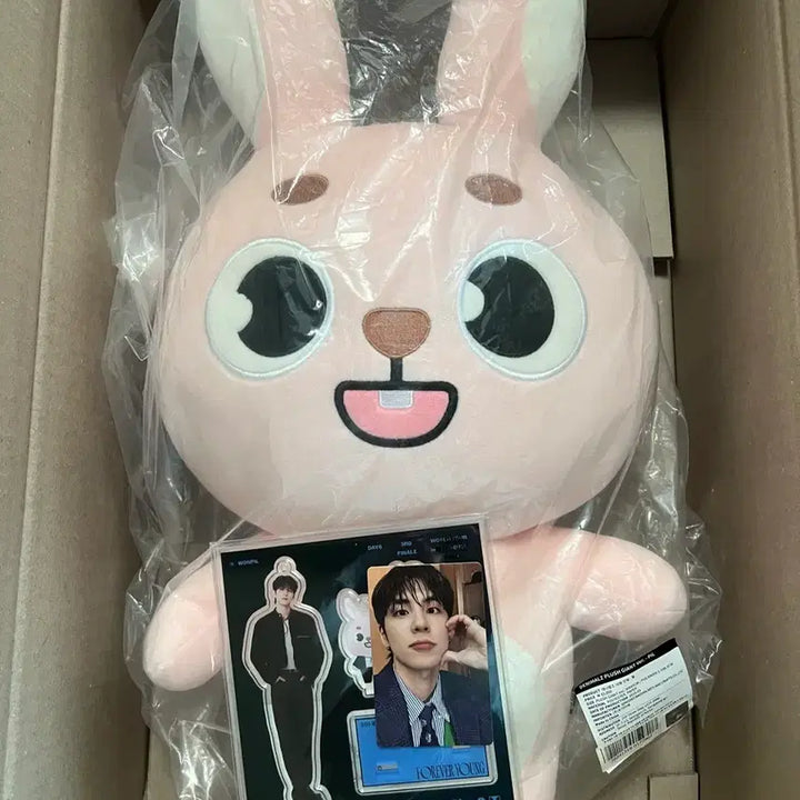 [BUNJANG] Day6 Wonpil Giant Denimals Fill Plush / 데이식스 자멀 필 자이언트데니멀즈(포카O)