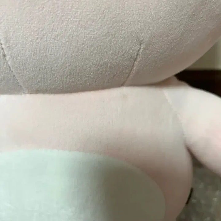[BUNJANG] Day6 Wonpil Giant Denimals Fill Plush / 데이식스 자멀 필 자이언트데니멀즈(포카O)
