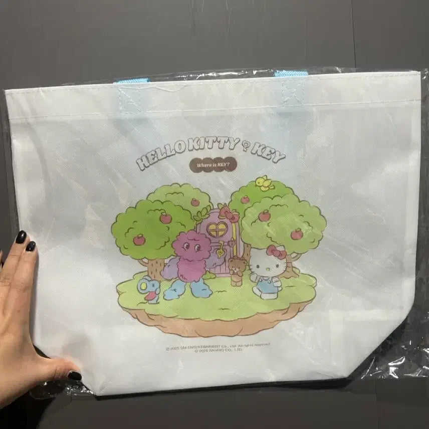 [SOLD OUT] 복실이 헬로키티 콜라보 굿즈