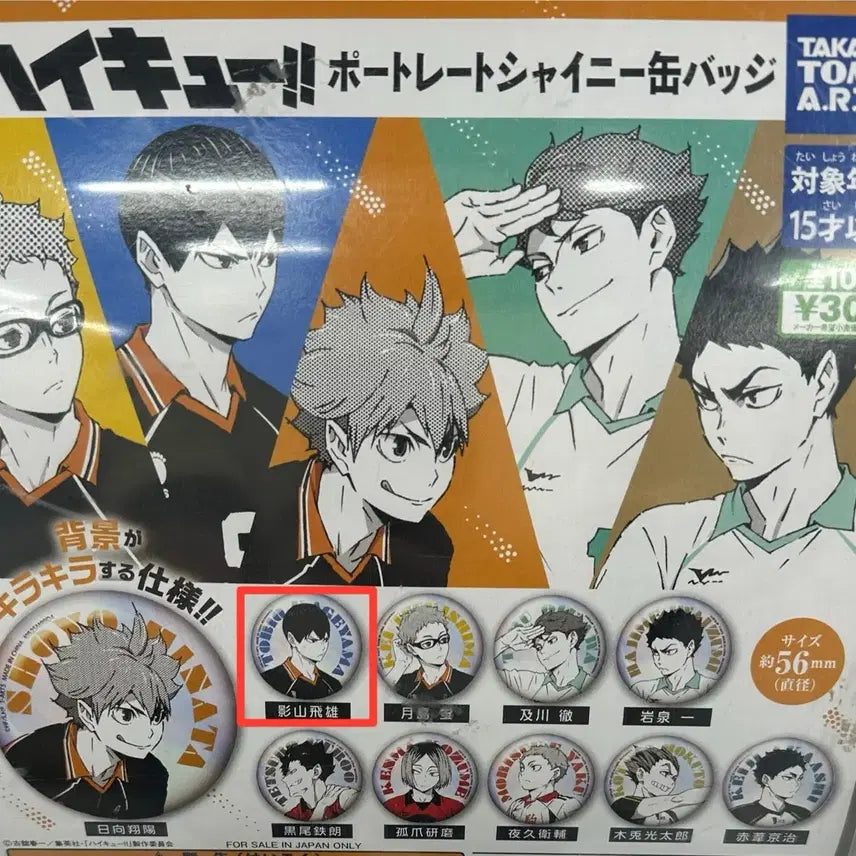 [BUNJANG] Haikyuu!! Kageyama Shainy Pin Badge / 하이큐 포트레이트 샤이니 핀뱃지 카게야마 판매