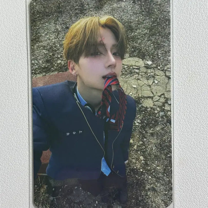 [BUNJANG] Alldayone Lee Sangwon 3rd Week Photocard / 알디원 이상원 공방 3주차 포카