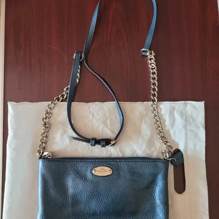 [BUNJANG] Coach Mini Crossbody Bag / 코치 미니백 새상품 입니다.
