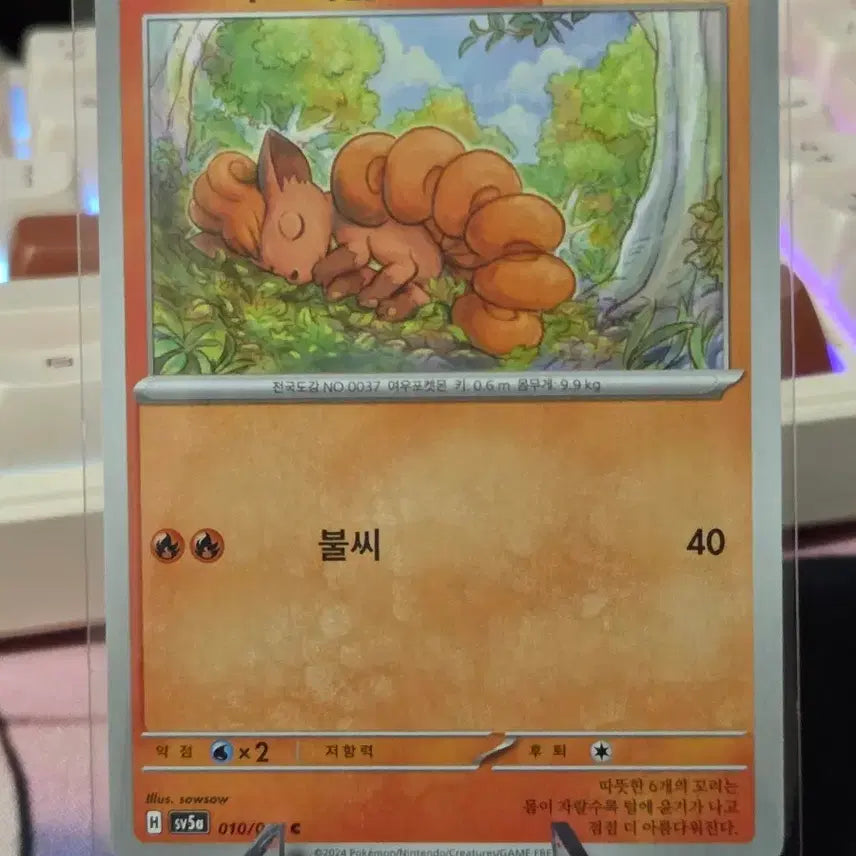 [BUNJANG] Pokemon Card Vulpix Crimson Haze / 포켓몬카드 식스테일