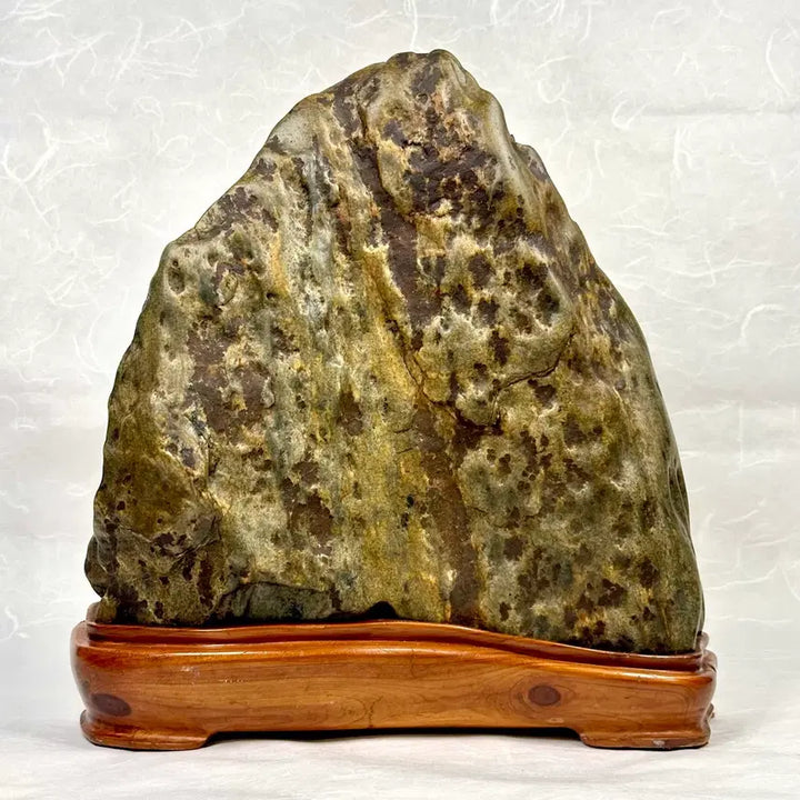 [BUNJANG] Muscular Sunchang Hor-pi Waterfall Stone Scholar Rock / 근육질 순창호피 폭포석 수석