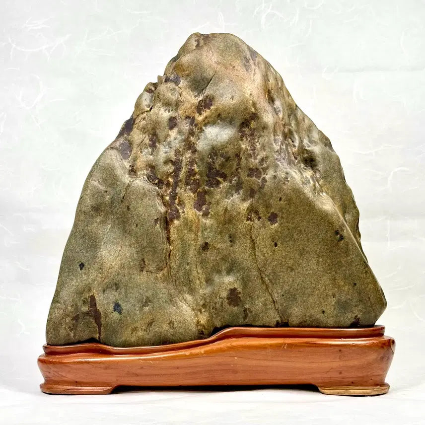 [BUNJANG] Muscular Sunchang Hor-pi Waterfall Stone Scholar Rock / 근육질 순창호피 폭포석 수석