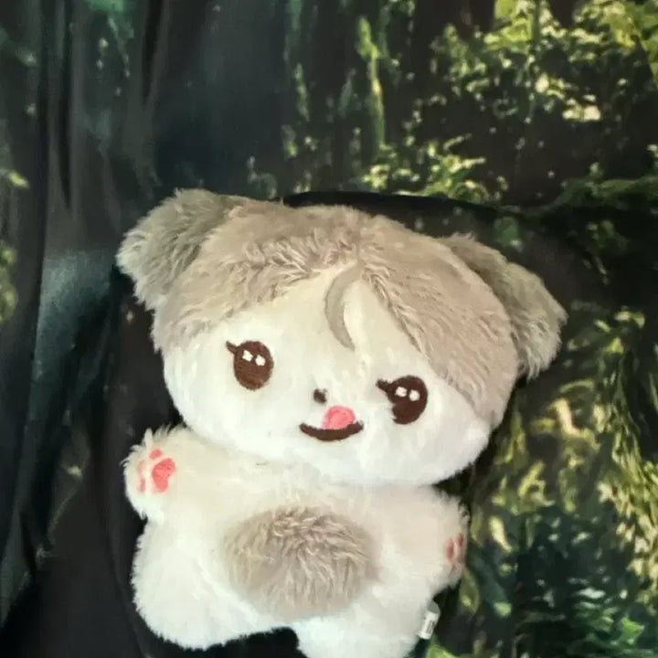 [SOLD OUT] 늑대켕 앤팀 케이 인형 양도