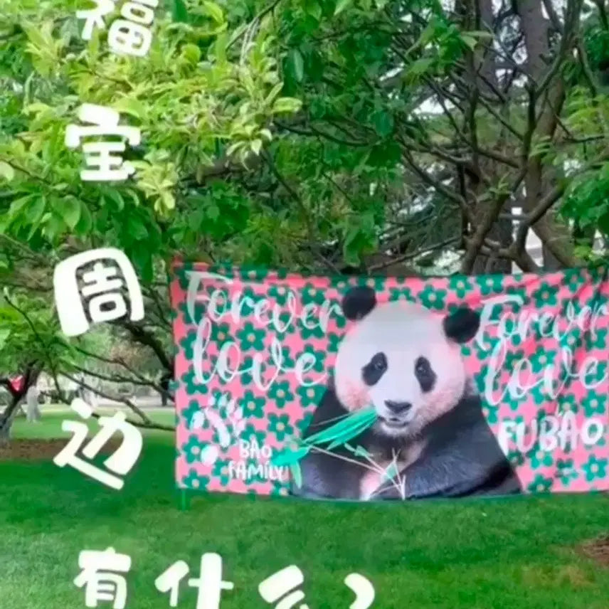 [SOLD OUT] 푸바오 담요