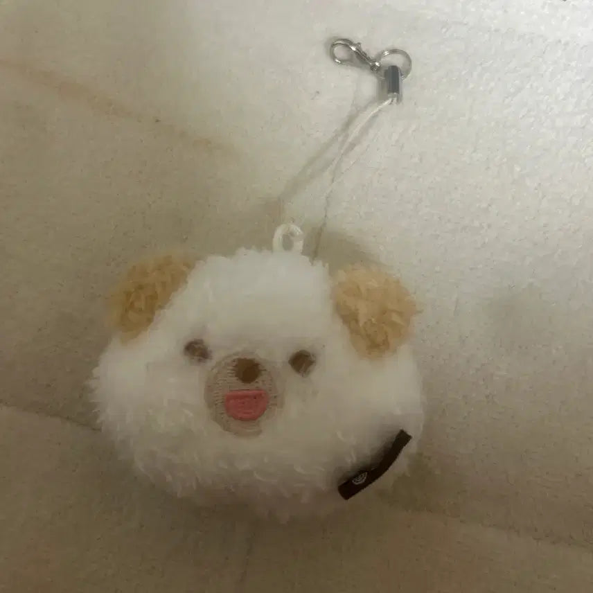 [SOLD OUT] 데이식스 도운키링 팔아요