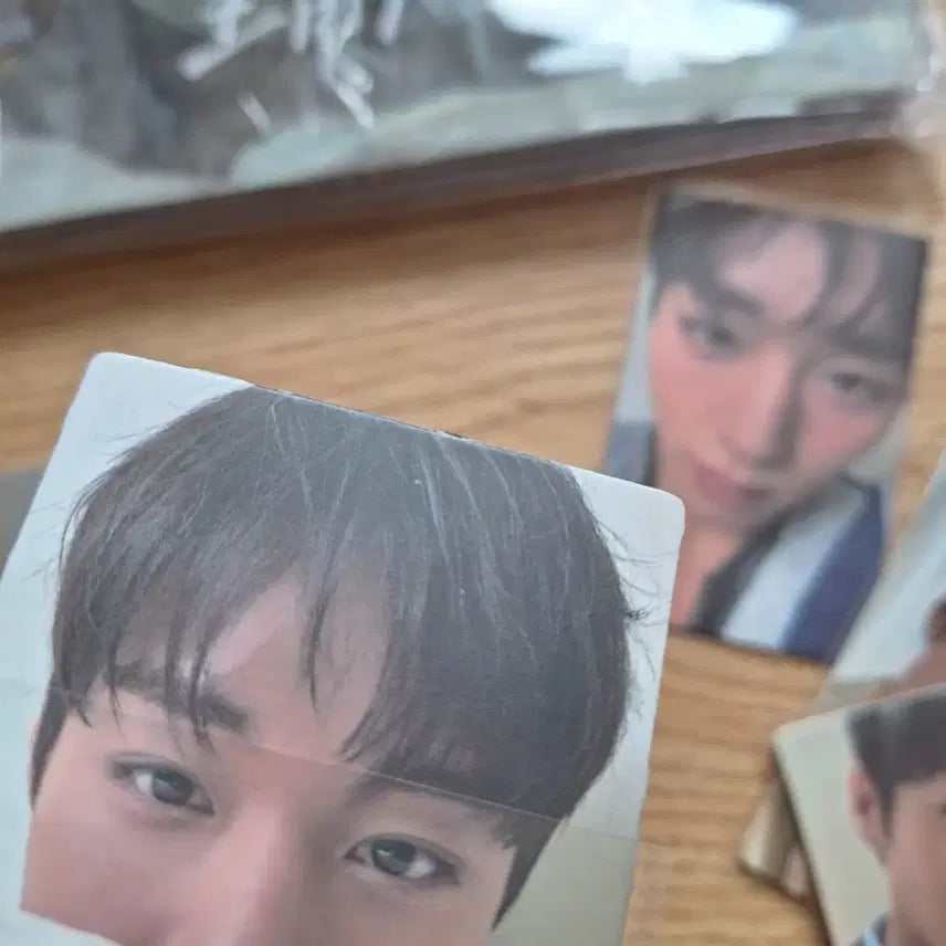 [SOLD OUT] 2025년 9월 시터 중국잡지 박지훈 포토카드 굿즈