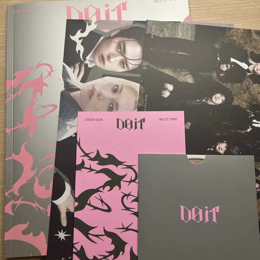 [SOLD OUT] 스트레이키즈 스키즈 두잇 앨범