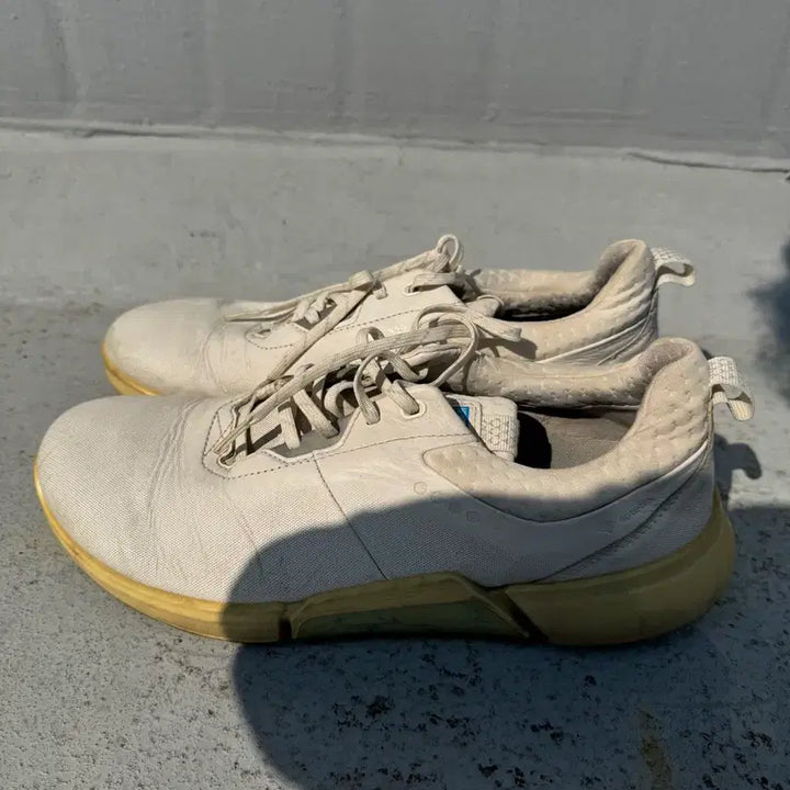 [BUNJANG] ECCO GORE-TEX Golf Shoes 270 / 에코 ECCO 고어텍스 270 골프 GORE-TEX