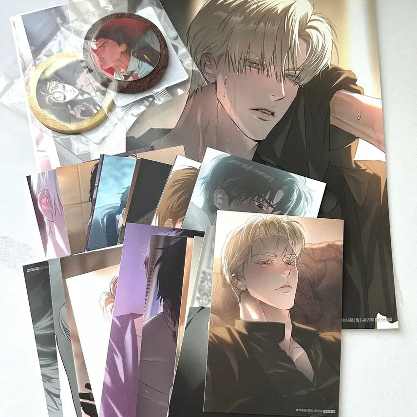 [SOLD OUT] 모펀 코드네임 아나스타샤 코드아나 엽서 20장 포스터 4장 특전 풀세트