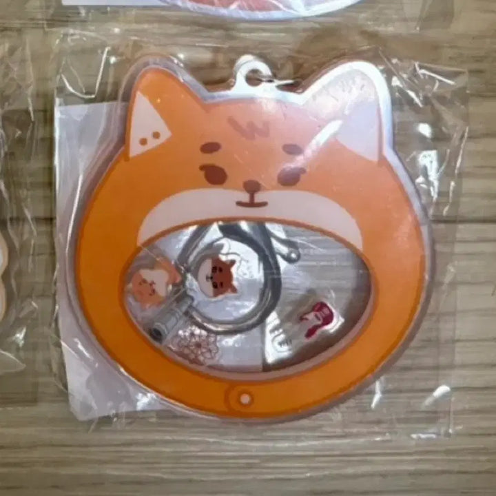 [SOLD OUT] 데이식스 md - 쉐이커키링 케
