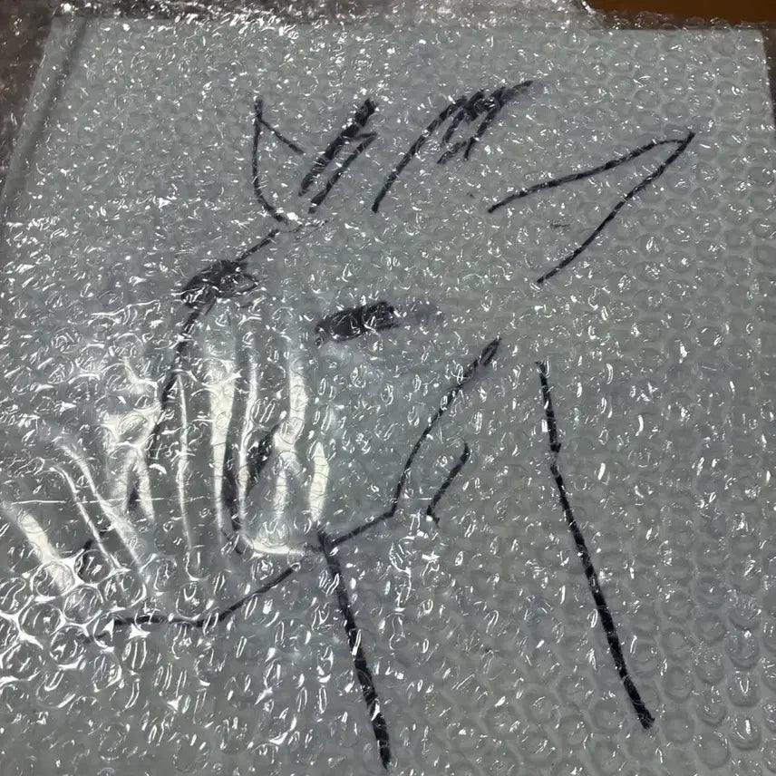 [BUNJANG] BaeTSaGong Girin LP / 뱃사공 기린lp
