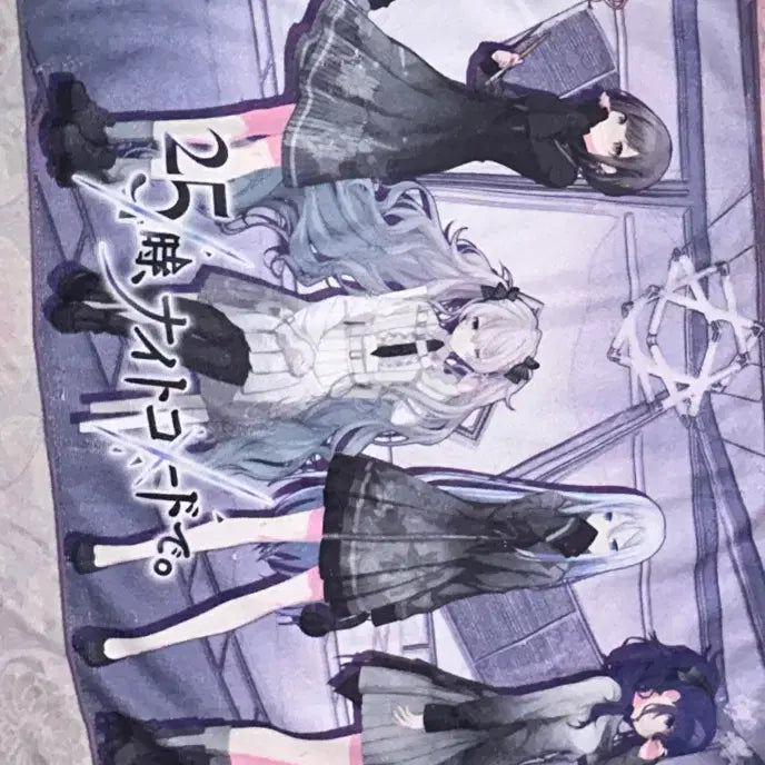 [SOLD OUT] 프세카 니고 타월 양도
