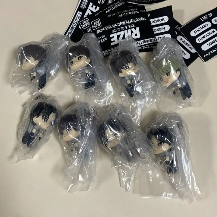 [BUNJANG] RIIZE Wonbin Dangling Connect Gacha Keychain / 라이즈 원빈 대롱대롱 연결 가챠 키링