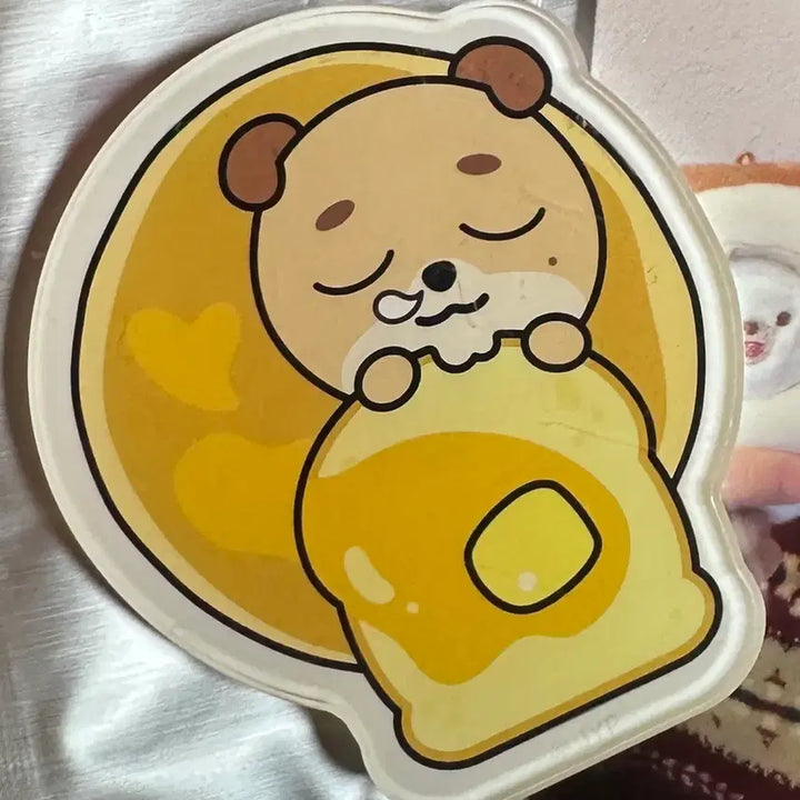 [SOLD OUT] 데이식스 대전 마그넷 방,필,돈 일괄