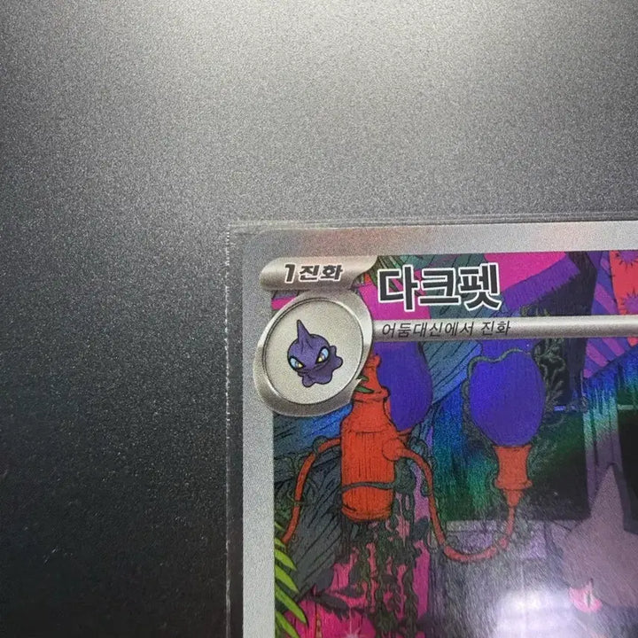 [SOLD OUT] 포켓몬카드 59번 다크펫 (100덱 스타트덱)
