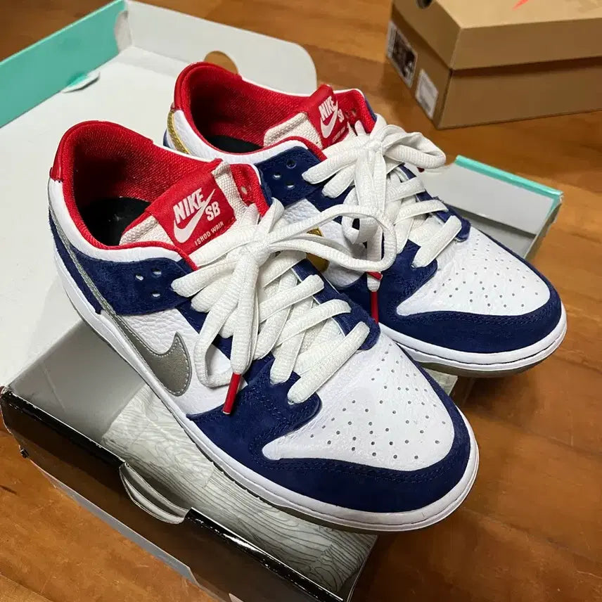 [BUNJANG] Nike SB Ishod Wair BMW / 나이키 덩크 이샤드 웨어 bmw 250