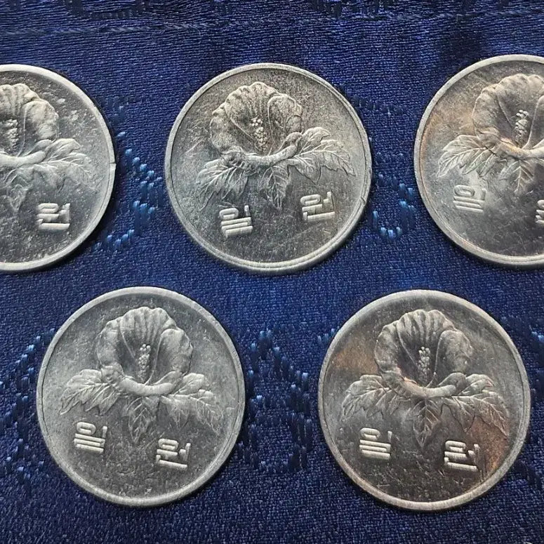 [BUNJANG] 1984 1 Won Coin Bundle Set (5 coins) / 1984년 1원 동전 5개일괄